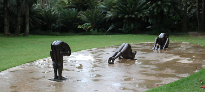 INHOTIM: Carnaval com chuva